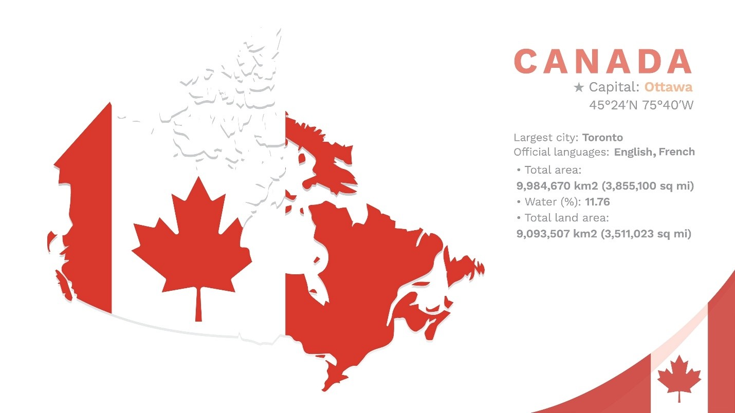 A united Canada, stepping forward on core civic values. Image generated with Google Gemini (no endorsement implied).